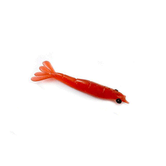 CAMARAO SILICONE VERMELHO Nº07