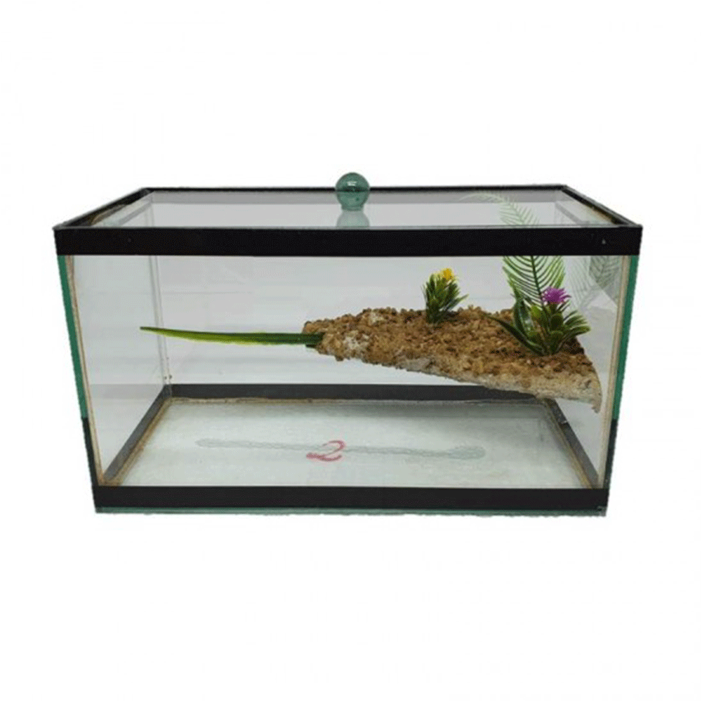 AQUARIO N 2 C/ ADESIVO (JG)