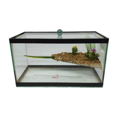 AQUARIO N 2 C/ ADESIVO (JG)
