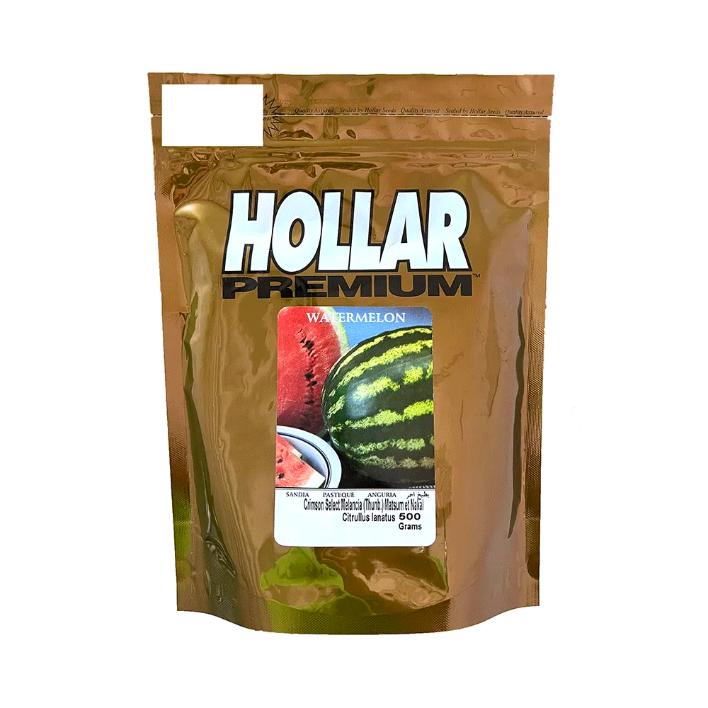 SEMENTE MELANCIA HOLLAR CRIMSON SELECT PREMIUM 500GR