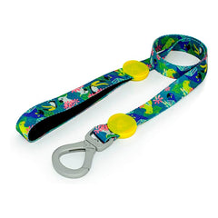 GUIA DOG27 AMAZONIA TRADICIONAL PP