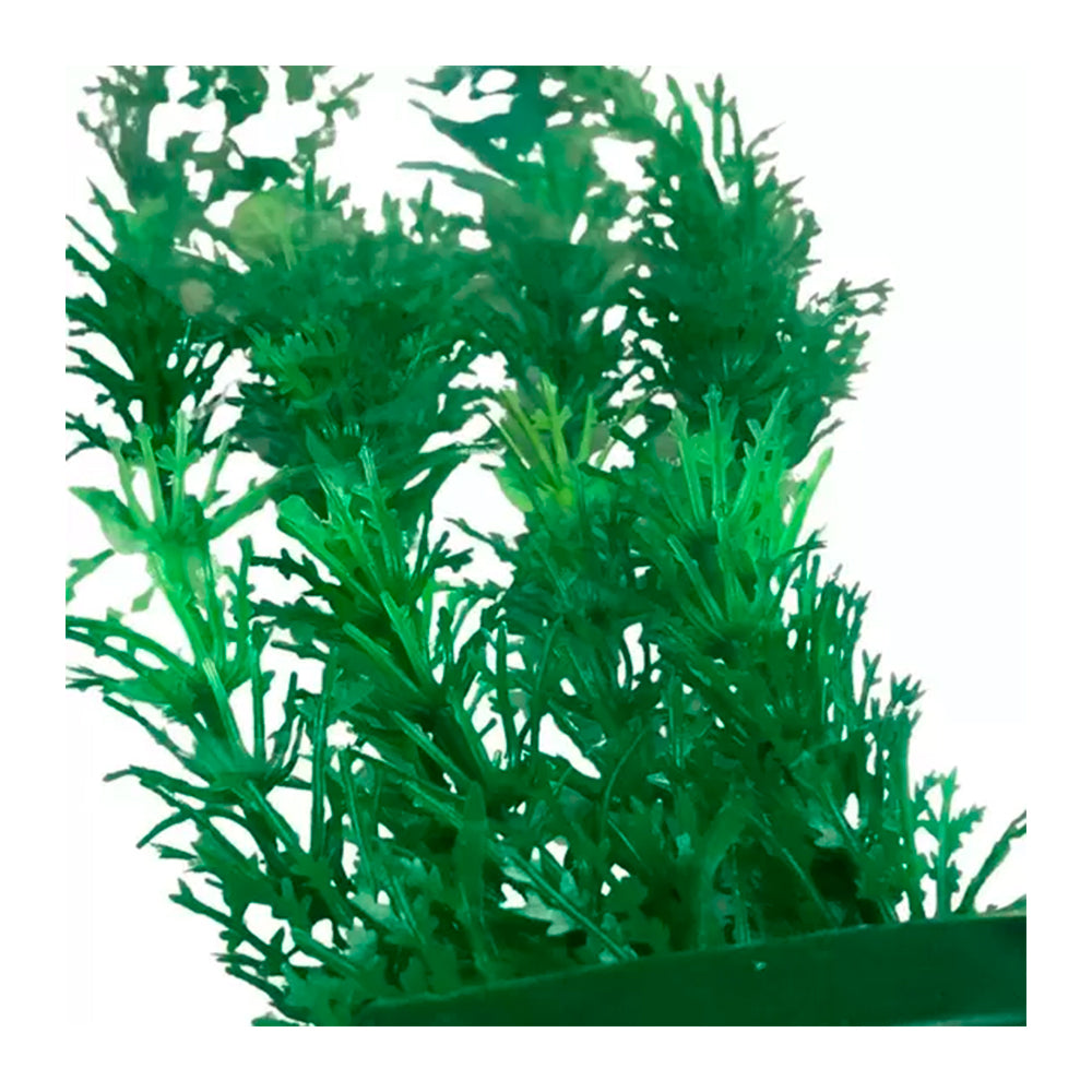 PLANTA PLASTICA AQUARIO GRANDE DIVERSAS MR PET