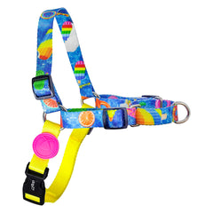 PEITORAL DOG27 SUMMER 2 EM 1 PP