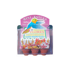 KIT SEMENTES MINI ESTUFA BEIJA FLORES