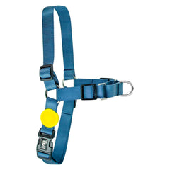 PEITORAL DOG27 JUCA 2 EM 1 PP