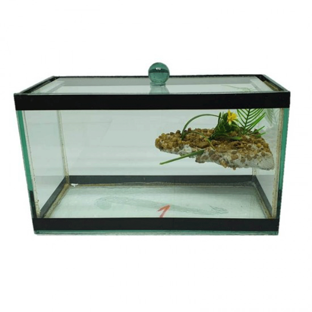 AQUARIO N 1 C/ ADESIVO (JG)