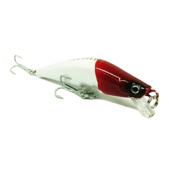 ISCA ARTIFICIAL ARUANA 80MM LAMAZON