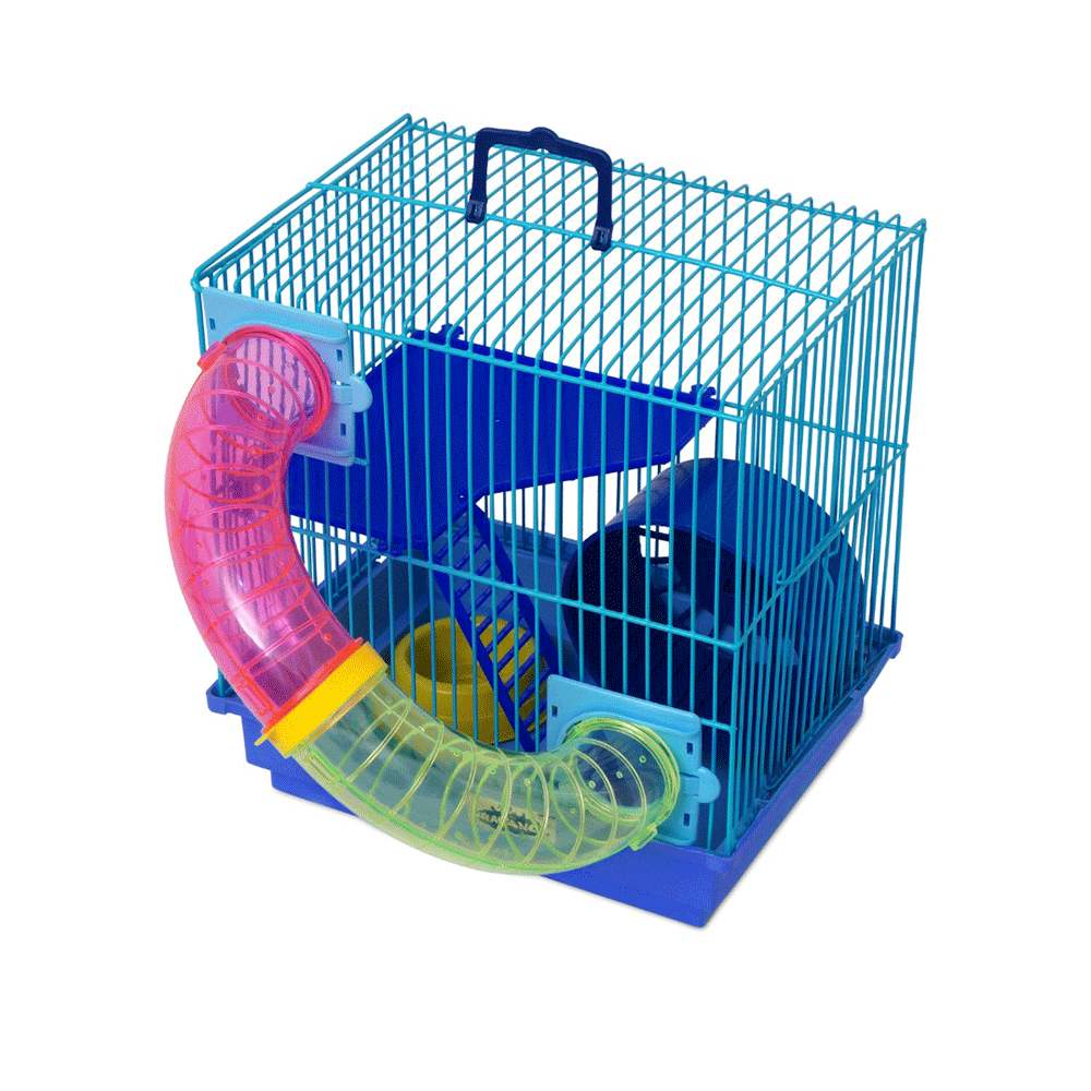 HAMSTER POP AZUL GR164