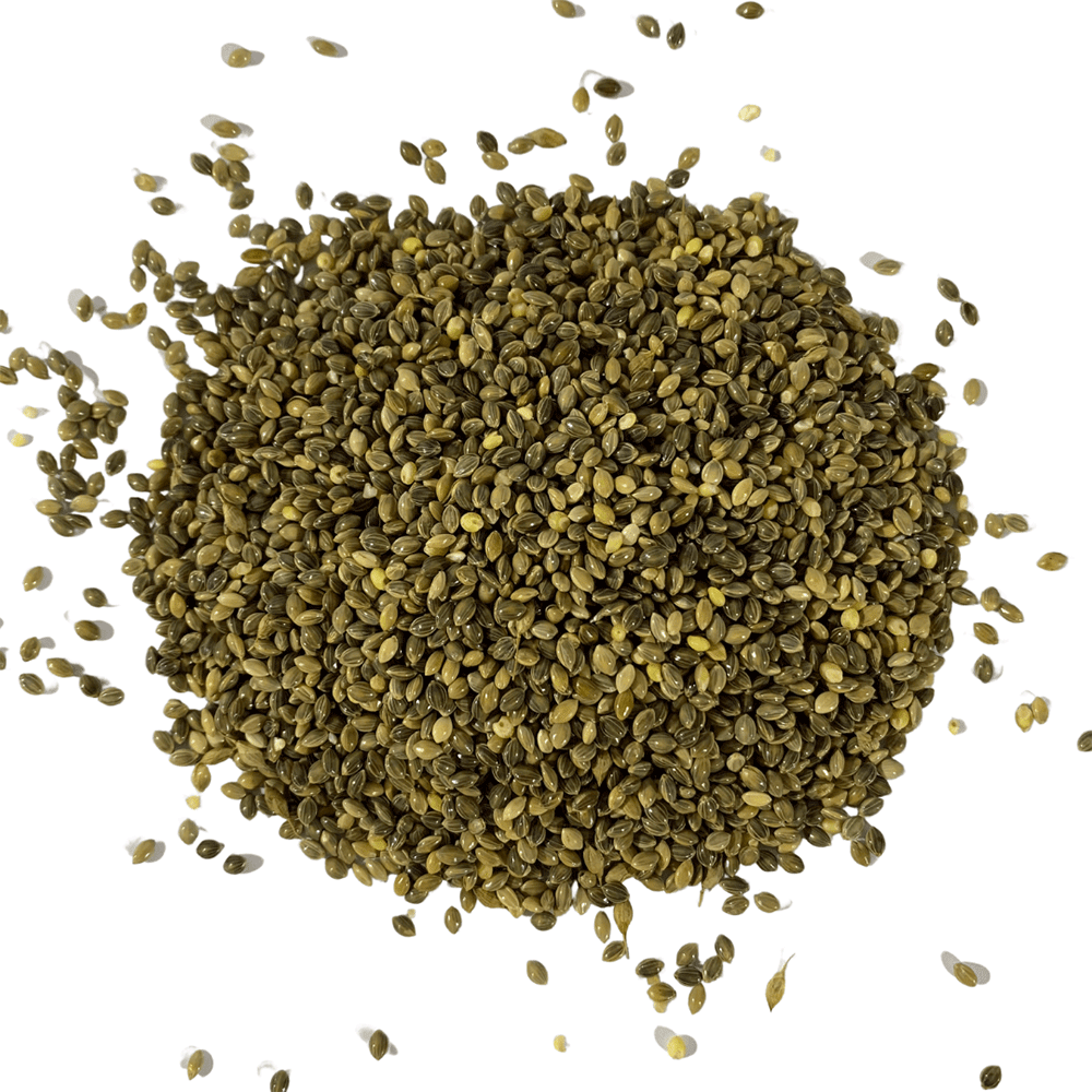 PAINCO VERDE KG
