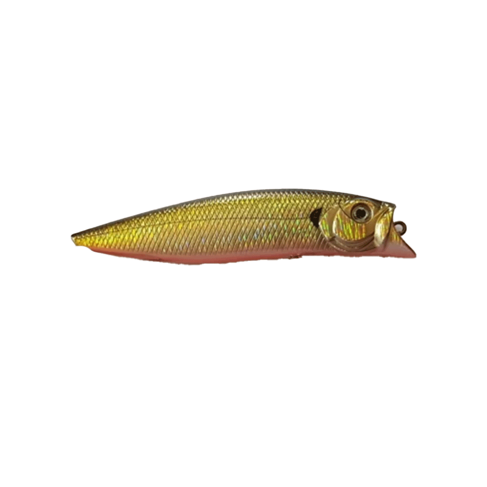 ISCA ARTIFICIAL POINTER LURE 9CM/11GR - COR 09 GOLD/BLACK