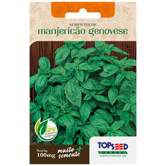 SEMENTE MANJERICAO ALFAVA SACHE 100MG TOPSEED