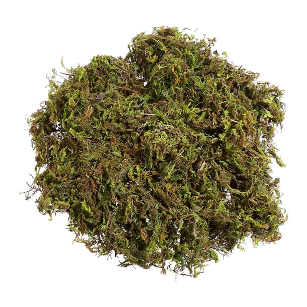 MUSGO VERDE P/ PLANTAS 20GR