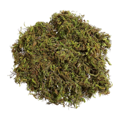 MUSGO VERDE P/ PLANTAS 20GR