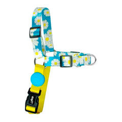 PEITORAL DOG27 DAISY 2 EM 1 PP