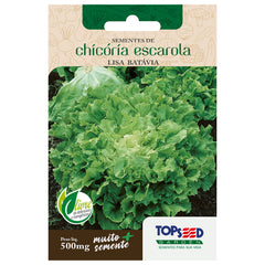 SEMENTE CHICORIA ESCAROLA LISA TOPSEED