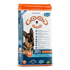 GOOD DOG KG (14)