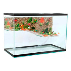 TARTARUGUEIRA TERRARIO N3 30X17X25