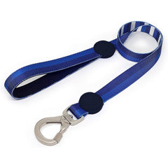 GUIA DOG27 PINCEL TRAD P