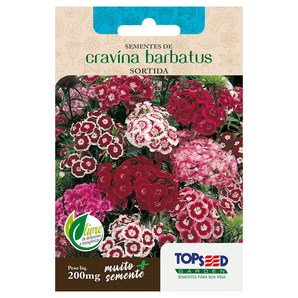 SEMENTE FLOR CRAVINA BARBATUS SORTIDA SACHE TOPSEED