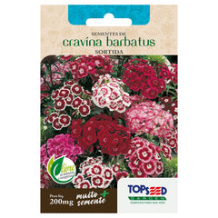 SEMENTE FLOR CRAVINA BARBATUS SORTIDA SACHE TOPSEED