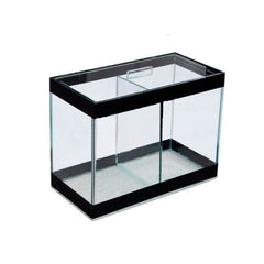 BETEIRA DECORADA DUPLA 20x10x15