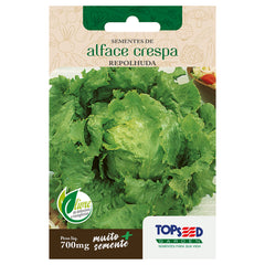 SEMENTE ALFACE CRESPA REPULHADA TOPSEED