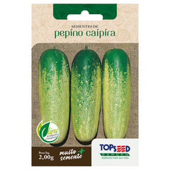 SEMENTE PEPINO CAIPIRA TOPSEED