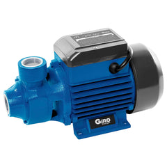 BOMBA PERIFERICA AGP370 0,5HP 127V/220V ANAUGER