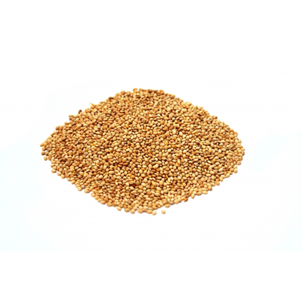 PAINCO PORTUGUES 100GR NUTRIAVE