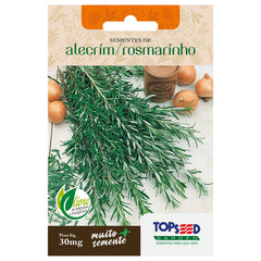 SEMENTE ALECRIM/ROSMARINHO SACHE 30MG TOPSEED