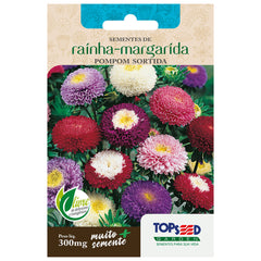 SEMENTE FLOR MARGARIDA RAINHA POMPOM TOPSEED