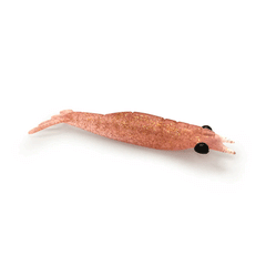 FISHING ISCAS CAMAROES BIG M 12CM COBRE 2 UNDS