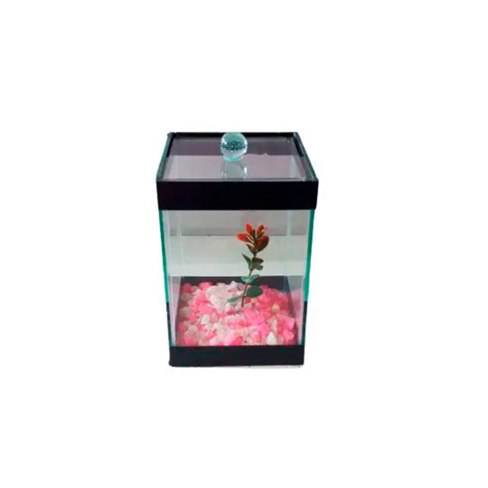 BETEIRA DECORADA 10X10X15CM
