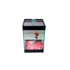 BETEIRA DECORADA 10X10X15CM