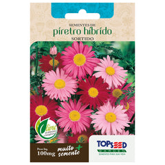 SEMENTE FLOR PIRETRO SORTIDO TOPSEED