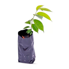 SACO PLASTICO PARA MUDA COM 100UN 10X18CM