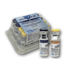 VACINA IMPORTADA IMUNOCAN V8